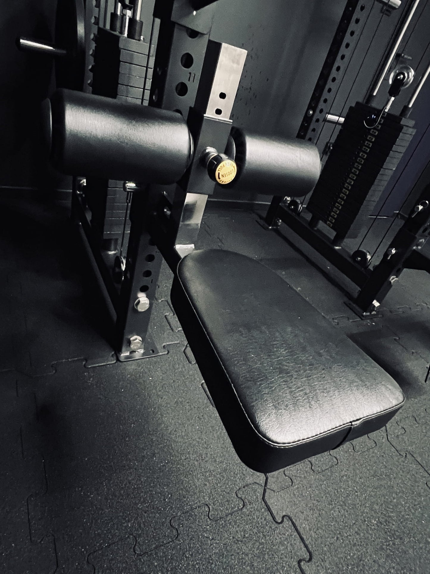 Multi Kraftstation Krypton Sport XA-205 KOMPAKTE mit Latzug 1:1, 2x110 kg Gewichtsblöcke, Dips, Gesamtgewicht 550 kg, mattschwarz